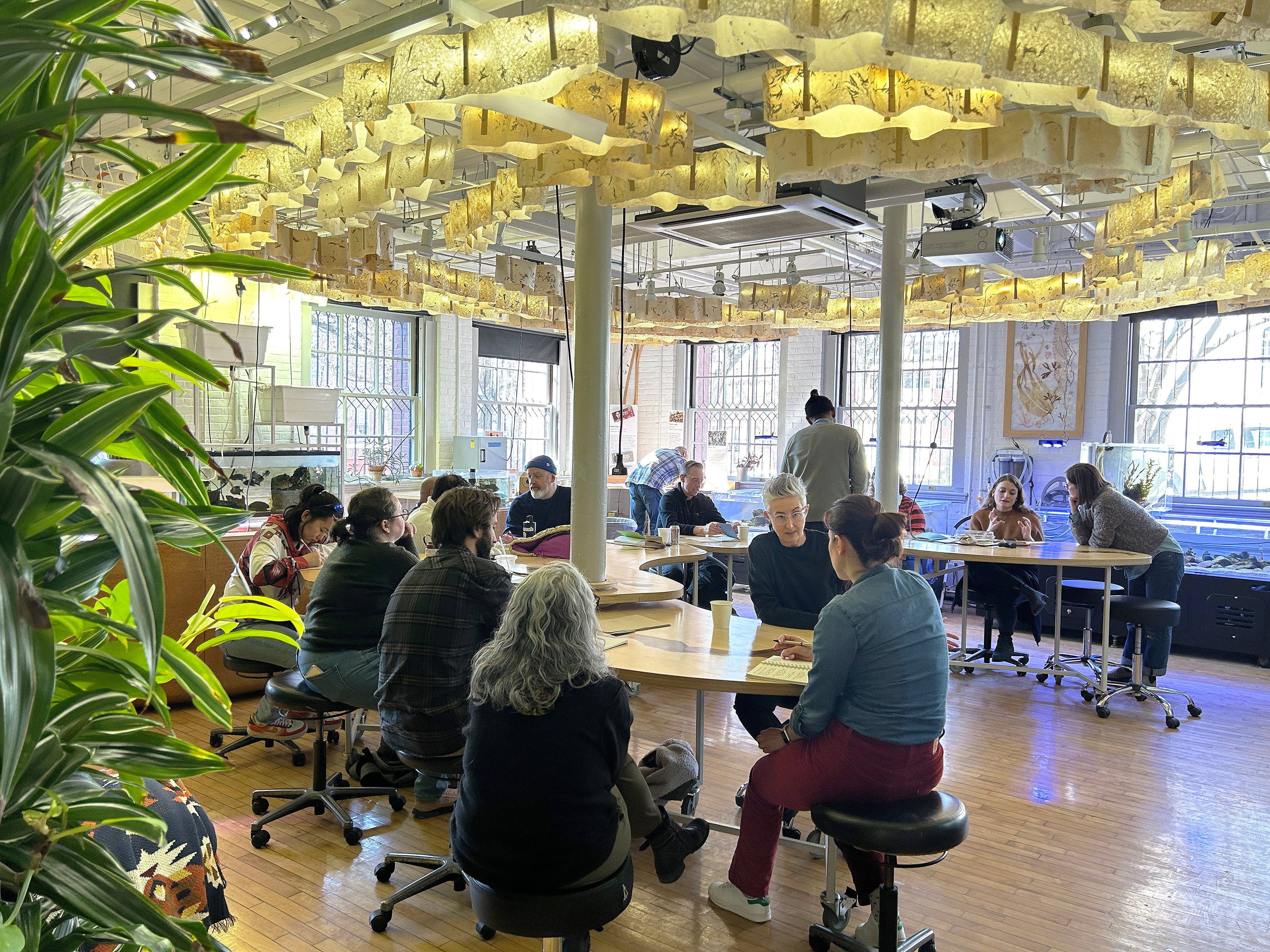 Vis-a-Thon gathering in the Nature Lab